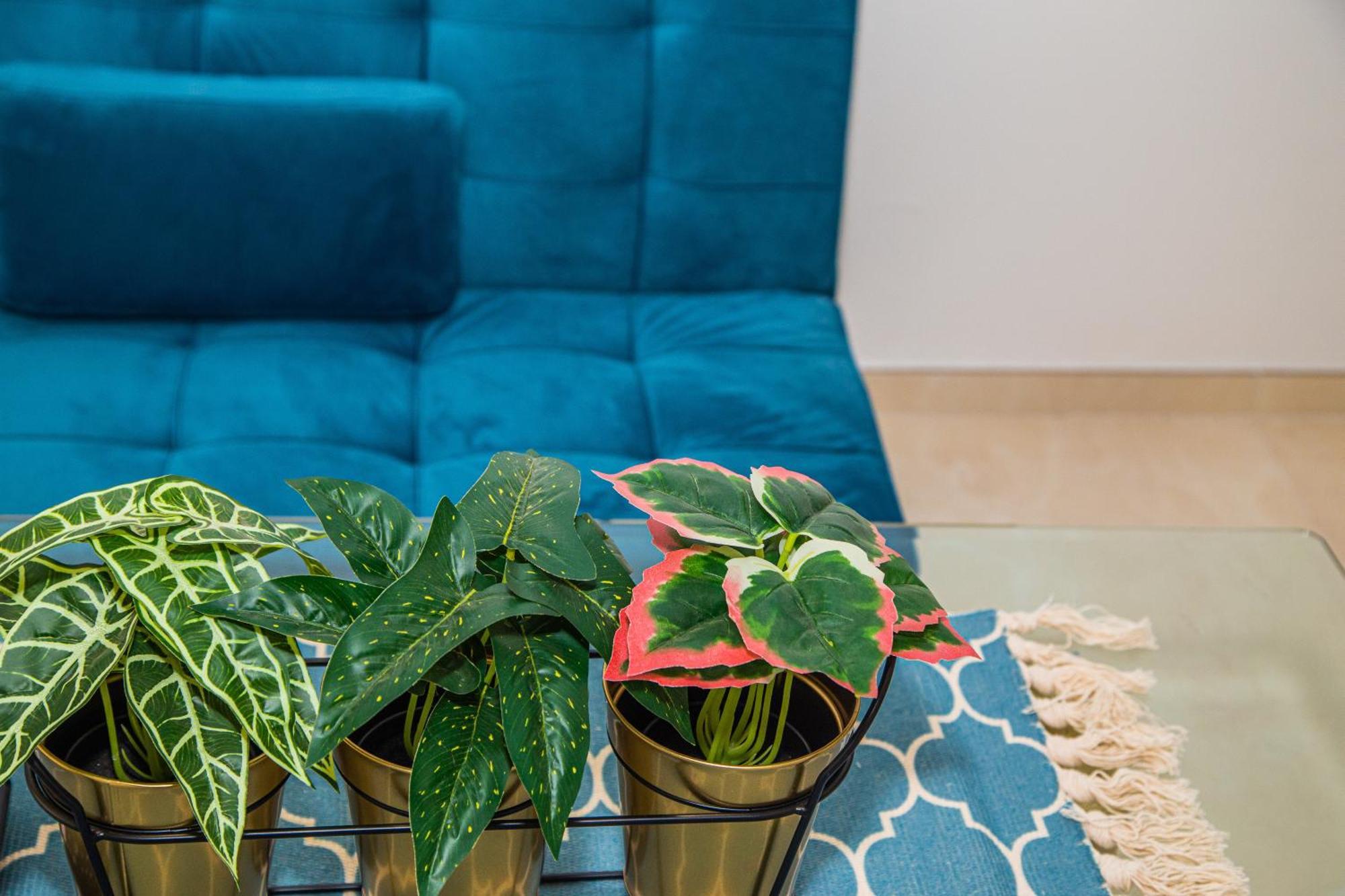 Apartamentos Centro Sandoval Córdoba Kültér fotó